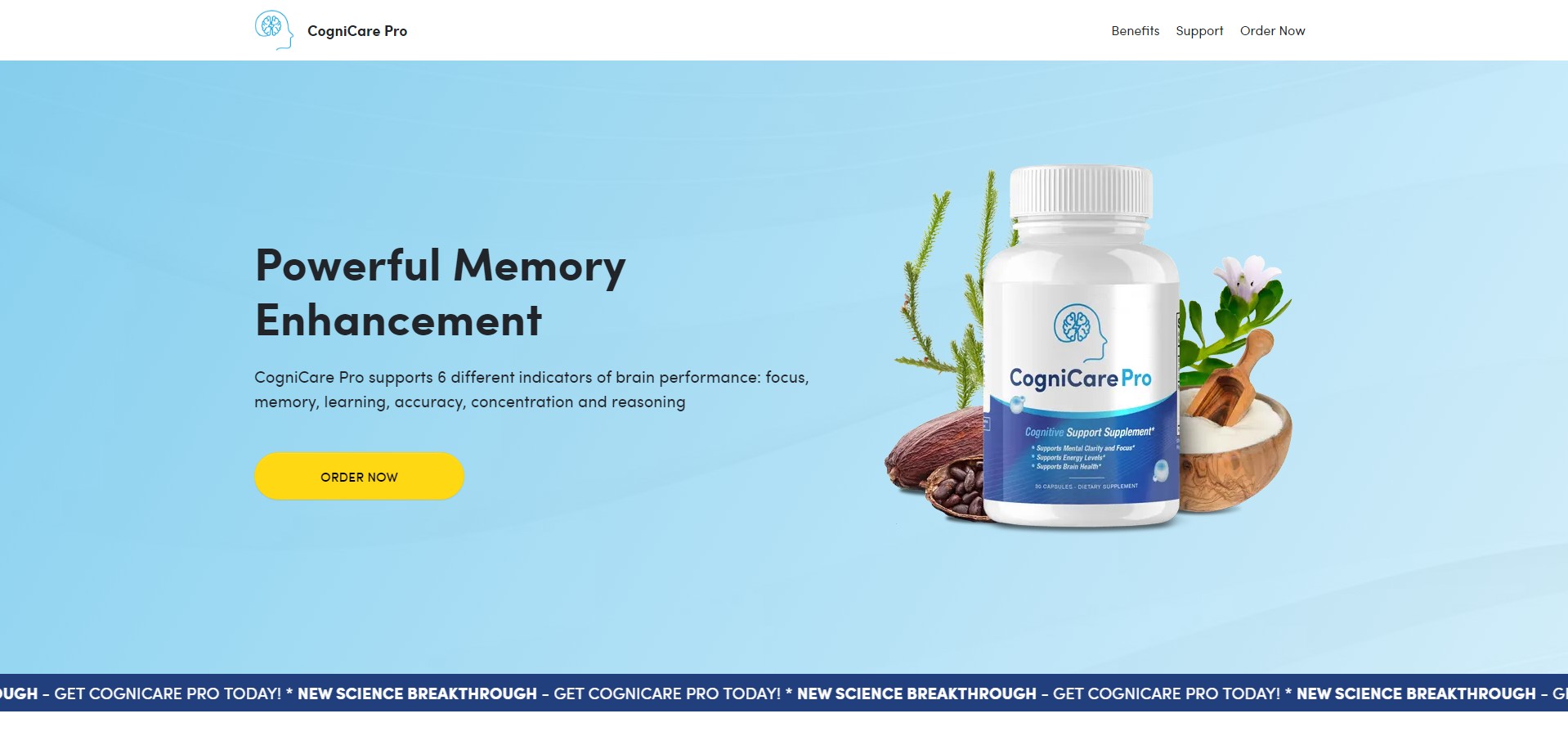 CogniCare Pro Product