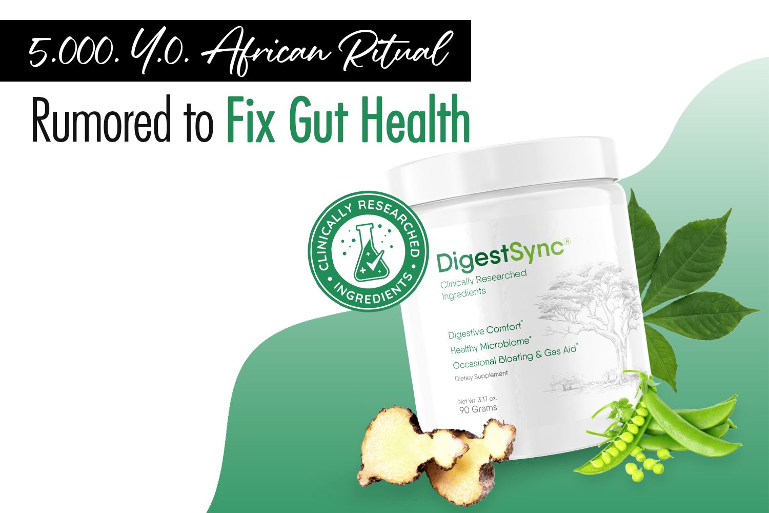 DigestSync Product