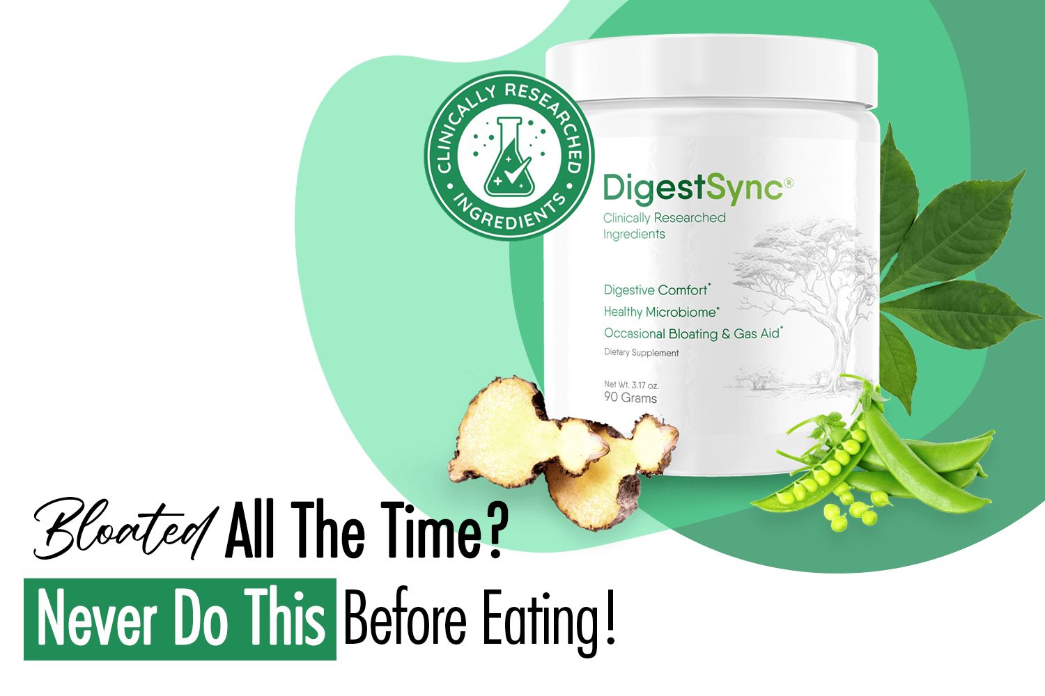 DigestSync Product