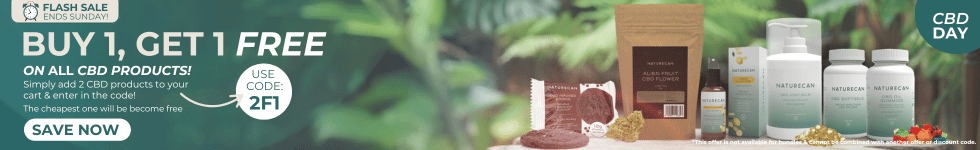 Essential CBD Gummies Product