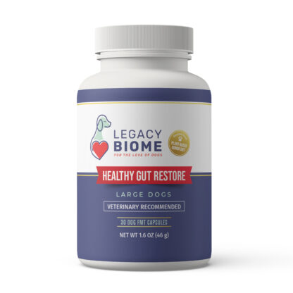 HealthyGut Restore Product