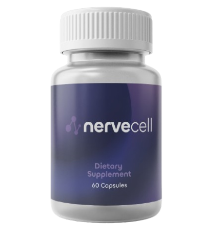 NerveCell