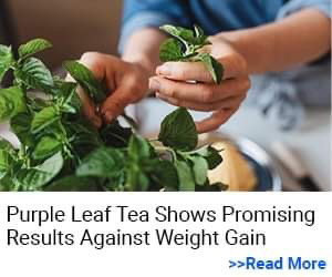 Purple Burn Pro Product