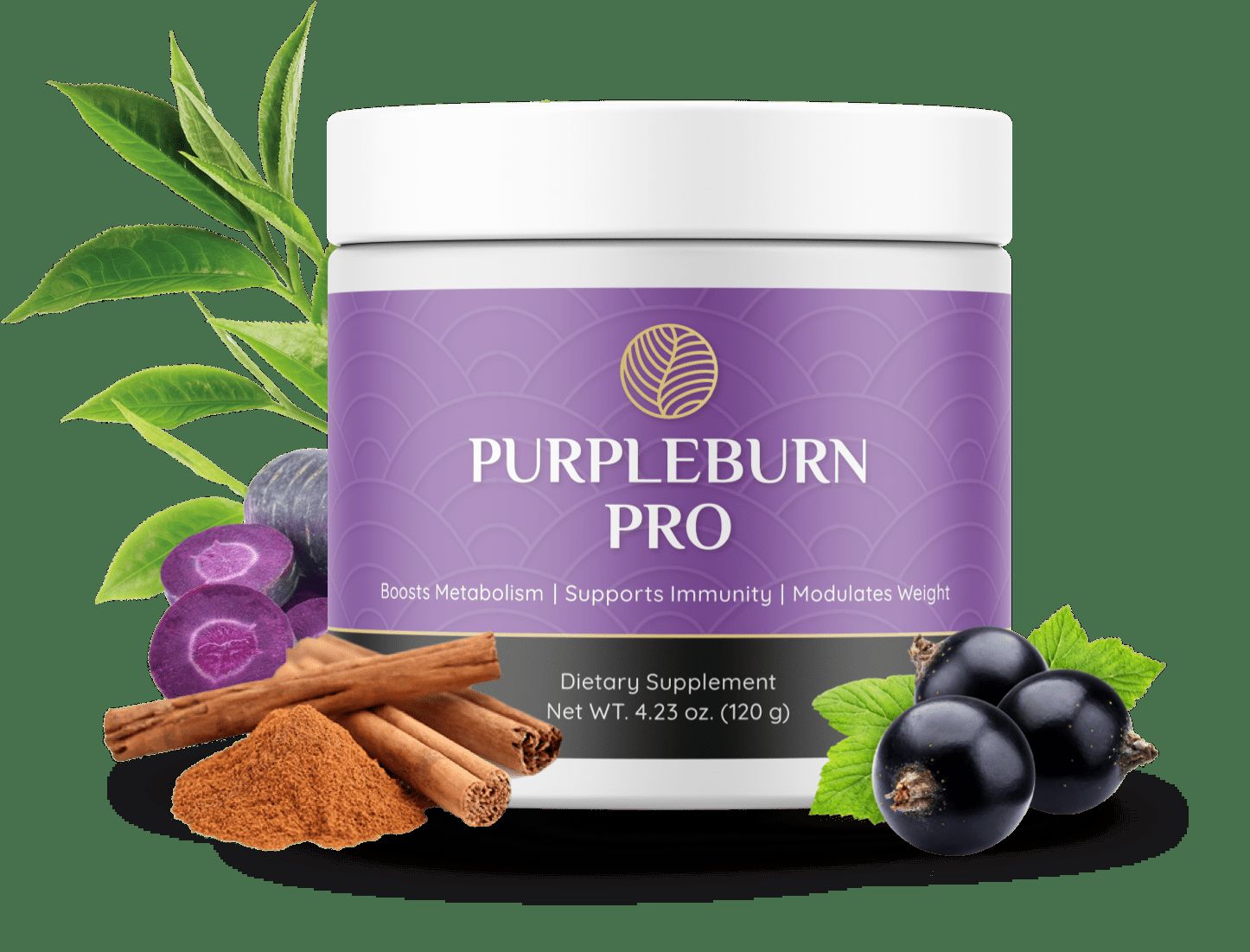 Purple Burn Pro Product