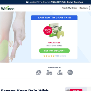 Wellnee Pain Relief Patches Product